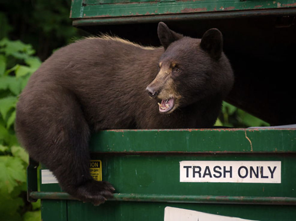 Where Minnesota’s worst state parks are