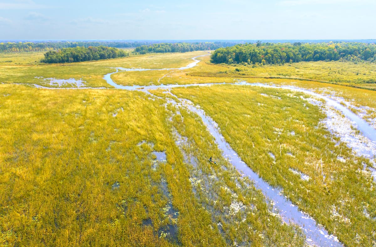 Minnesota DFL agrees to legislative hearings on copper-nickel mining ...